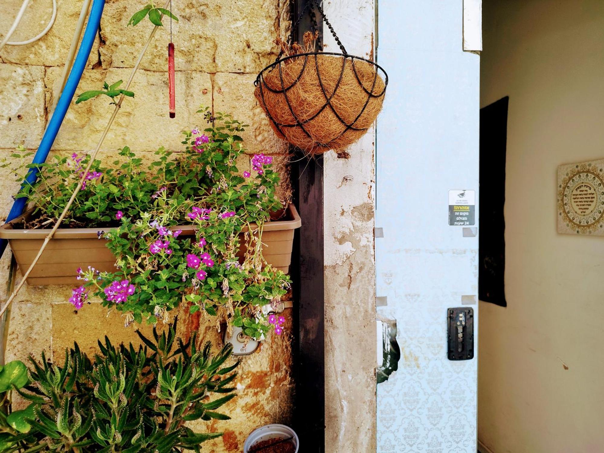 הוסטל תל אביב Polihosts Old Jaffa מראה חיצוני תמונה